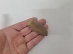 Prachtig bot fragment (Triceratops), Ophalen of Verzenden, Fossiel