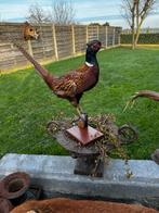 Taxdermie fazant, Ophalen