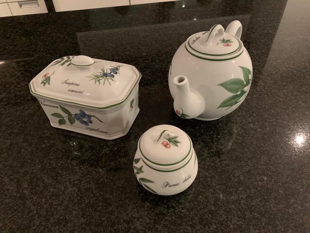 Ensemble botanique  Apilco France Porcelaine-Elysian Garden, Antiquités & Art, Antiquités | Services (vaisselle) pièces, Enlèvement ou Envoi