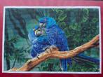 Diamond painting 40 x 60 cm, Ophalen, Nieuw, Knutselwerk