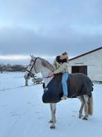 Halve stal, Animaux & Accessoires, Chevaux