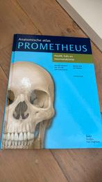 Udo Schumacher - Hoofd, hals en neuroanatomie, Overige wetenschappen, Nieuw, Udo Schumacher; Michael Schünke; Erik Schulte, Ophalen of Verzenden