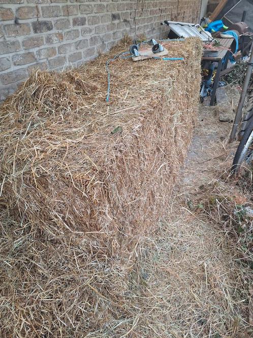 Graszaadhooi, Dieren en Toebehoren, Dierenvoeding, Ophalen