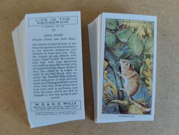 Life in the Hedgerow complete set 50 chromos REPRO beschikbaar voor biedingen