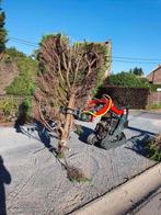 arrachage de haie, Ophalen, Haag