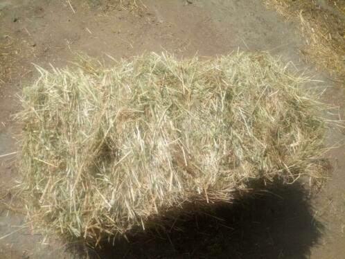 Petits ballots de foin Juprelle (Liège), Dieren en Toebehoren, Dierenvoeding, Ophalen