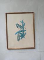 Jolie mésange bleue au fusain sur planche. Signée, Antiquités & Art, Enlèvement ou Envoi