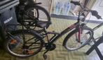 Fiets meisjes 24 inch, Fietsen en Brommers, Ophalen, Gebruikt, 24 inch