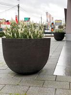 TERRACOTTA POTTEN - 74 CM - SET VAN 2, Tuin en Terras, Ophalen, Zo goed als nieuw, Tuin