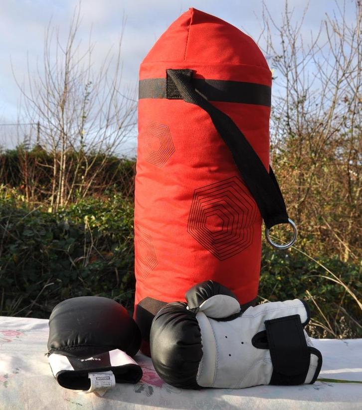 sac de frappe et gants de boxe pour jeune ado, Sport en Fitness, Boksen, Nieuw, Boks-accessoire, Ophalen of Verzenden