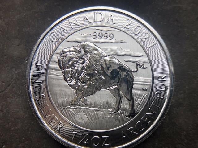 2021 Canada - Bison - 1,25 oz silver, Enlèvement ou Envoi, Argent