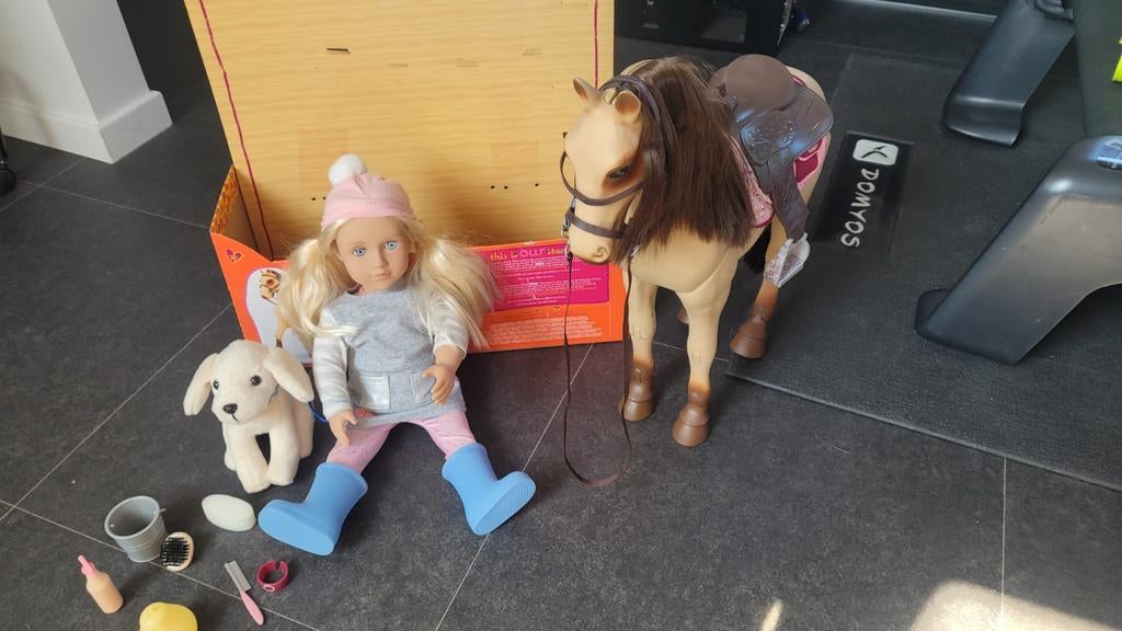 paard met hond en pop, Ophalen