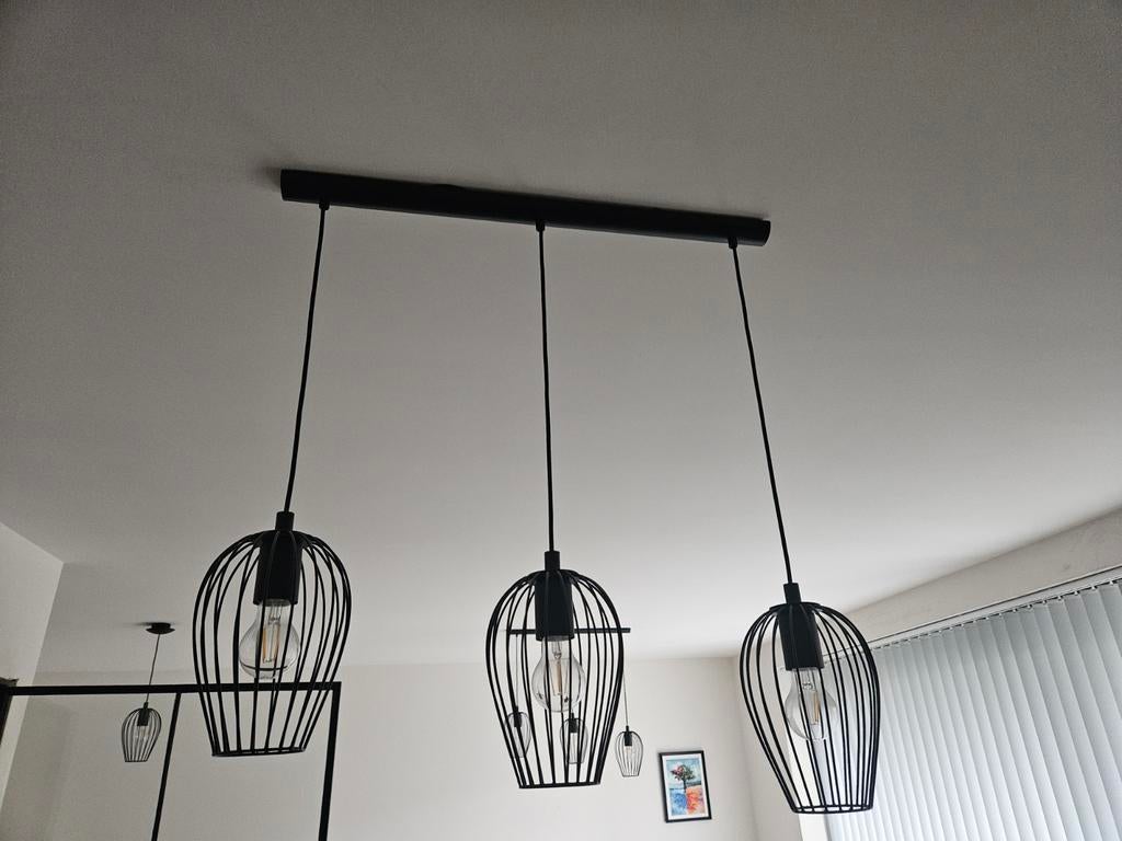 Eglo hanglampen zwart, Enlèvement