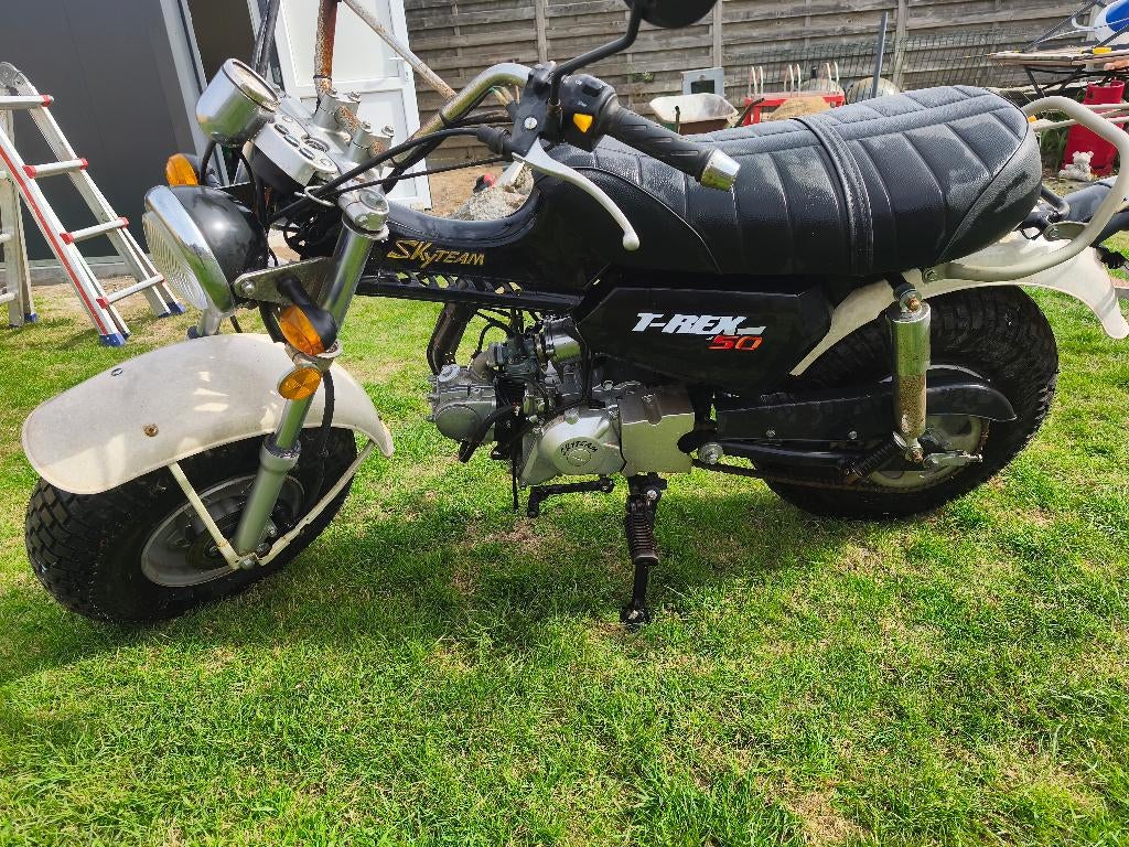 Skyteam T-Rex 50cc, Ophalen, Gebruikt, Klasse B (45 km/u), 50 cc