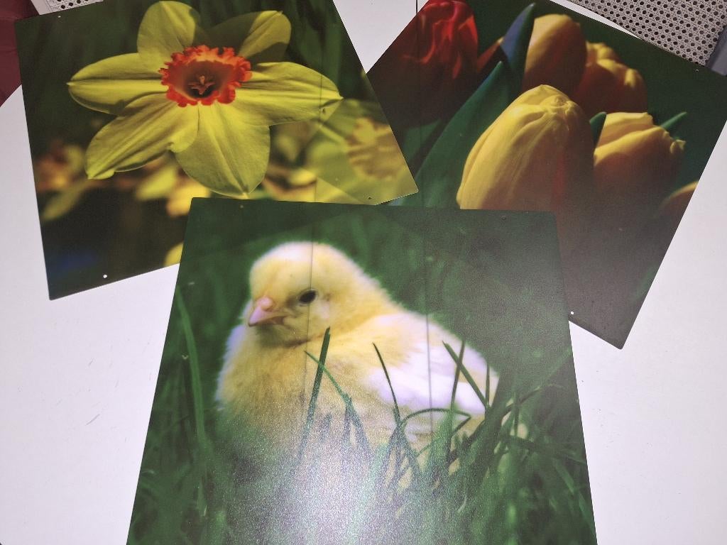 easter deco platen, nieuwstaat, Ophalen of Verzenden, 50 cm, 50 cm, Nieuw