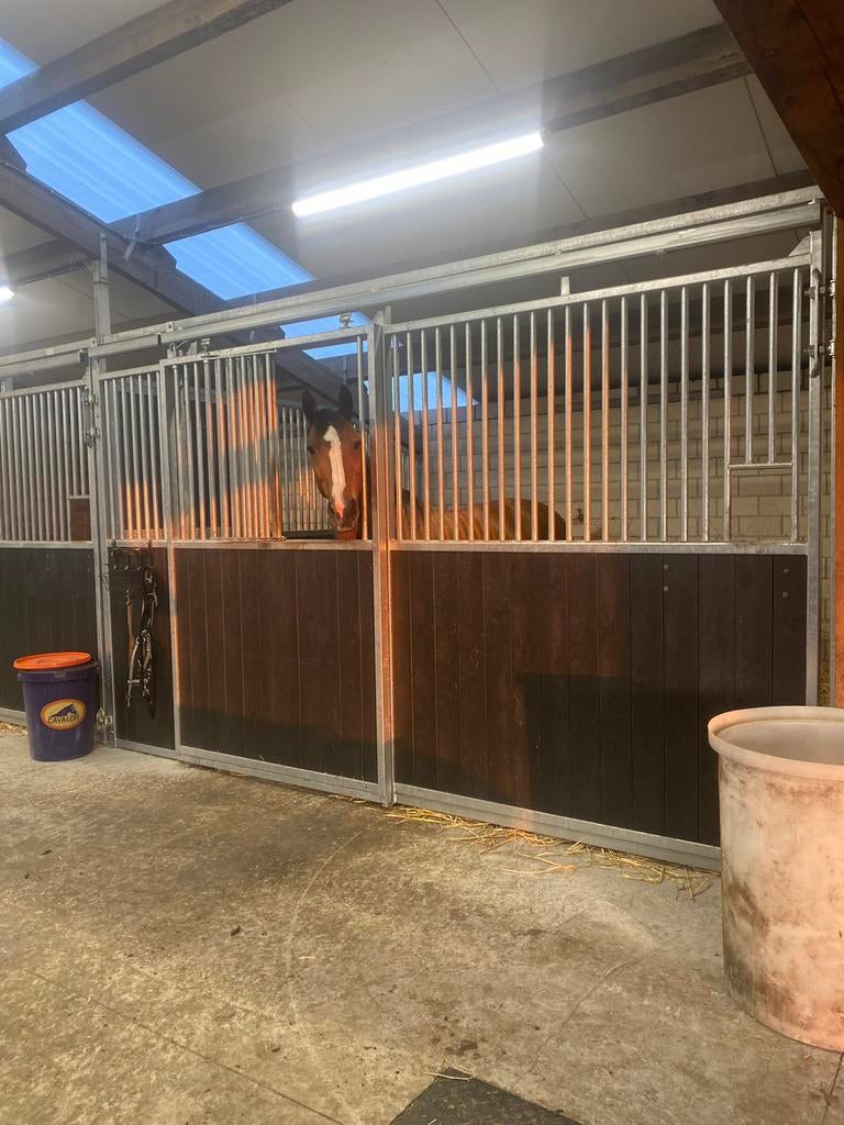 Pensionstal Maldegem