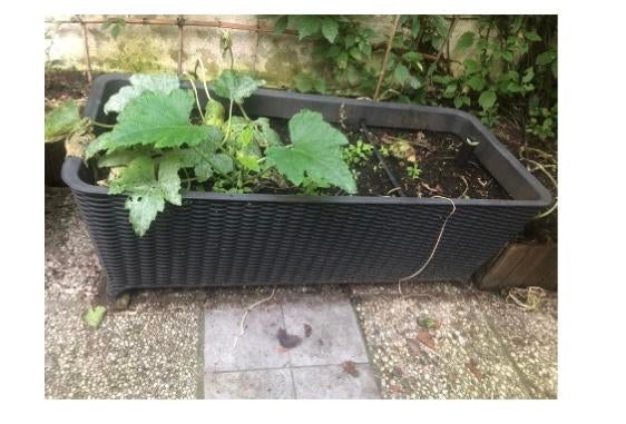 Bac de jardin, Jardin & Terrasse, Bacs à fleurs & Jardinières, Enlèvement, Utilisé, Jardin