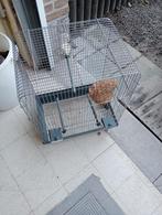 Vogelkooi compleet 15 euro vogels kanaries grasparkieten enz, Dieren en Toebehoren, Ophalen, Vogelkooi