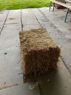 Petits ballots de foin à vendre, Zakelijke goederen, Landbouw | Veevoer, Ophalen
