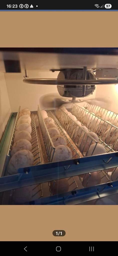 Broedservice, Dieren en Toebehoren