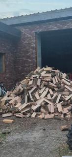 Brandhout beuk, Enlèvement ou Envoi, Hêtre