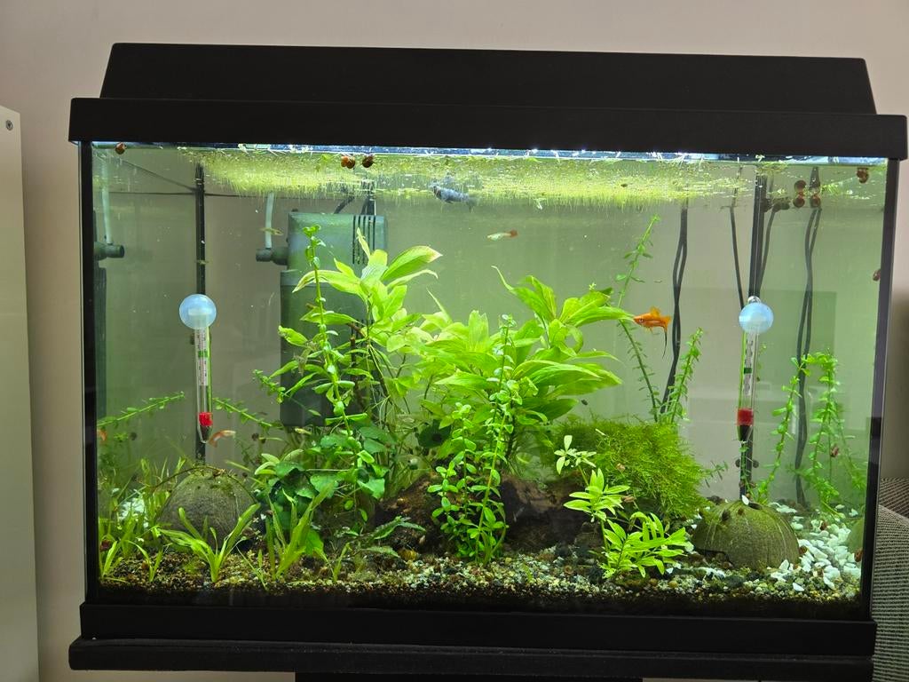 Aquarium avec meuble, Enlèvement