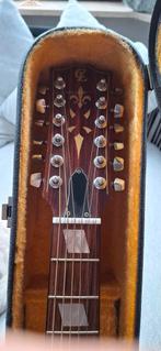Mooie 12 string in goede staat ., Muziek en Instrumenten, Ophalen, Met koffer