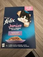 Felix kitten natvoer, Enlèvement