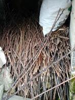 À donner : branches et tiges d'arbre pour déco., Ophalen, Gebruikt