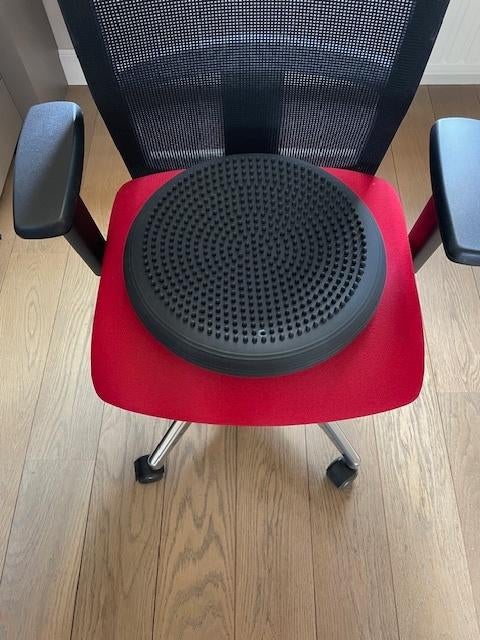 Togu Balkussen Dynair 36cm, Ophalen of Verzenden, Zo goed als nieuw, Rug, Overige typen