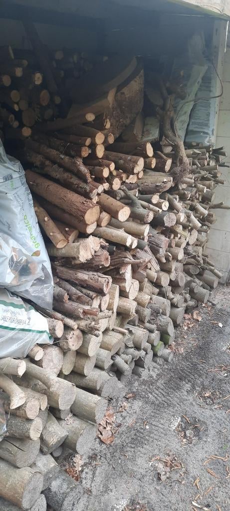 Droog brandhout gratis, Tuin en Terras, Ophalen of Verzenden