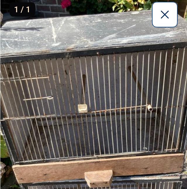 Broed kooi vogels, Enlèvement, Utilisé, Bois, Cage d'élevage