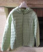 jas maat 36/38, Kleding | Dames, Jassen | Winter, Zo goed als nieuw, Maat 36 (S), Groen, Ophalen