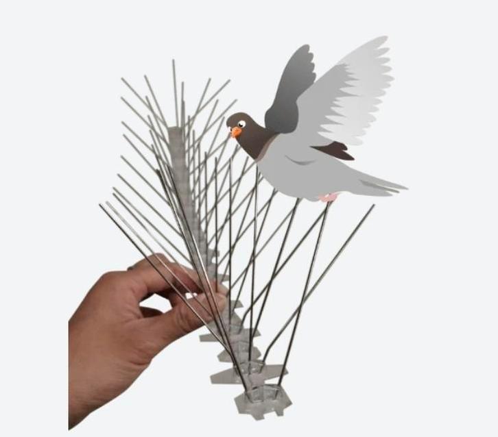 Duivenpinnen en ventistrip dakrandventilatie, Animaux & Accessoires, Oiseaux | Pigeons