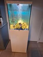 Aquatlantis aquarium, Dieren en Toebehoren, Ophalen, Nieuw, Gevuld zoetwateraquarium