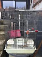 Vogel of parkieten kooi, Dieren en Toebehoren, Ophalen of Verzenden, Gebruikt