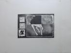 CHRIS VERHEYEN / PAARDEN / ZW-W LITHO / 49x65cm / SIG, Antiek en Kunst, Ophalen of Verzenden