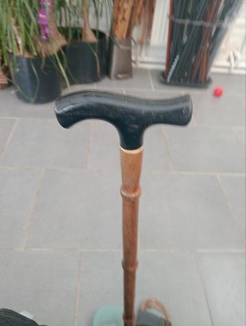Canne  beschikbaar voor biedingen