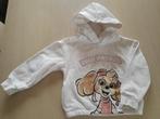 Sweater Paw Patrol, maat 110, Ophalen