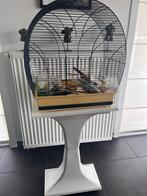Vogelkooi en toebehoren, zonder voet, Ophalen, Zo goed als nieuw, Vogelkooi