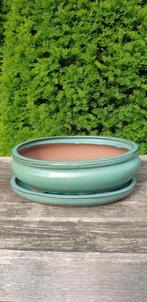 Groen bonsai pot met schaal, Ophalen, Zo goed als nieuw