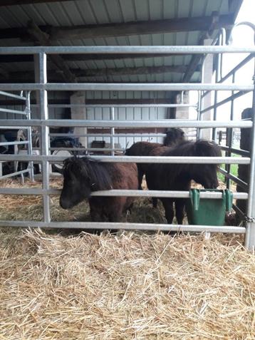 box mobil TEXAS Panel rond de longe beschikbaar voor biedingen