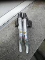 campagnolo remhendels de rosa, Enlèvement