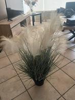 Plant met pluimen, Huis en Inrichting, Ophalen, Nieuw