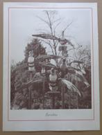 MARCEL VAN MAELE / BERICHTEN / KLEURZEEFDRUK / 76x55cm / SIG, Ophalen of Verzenden