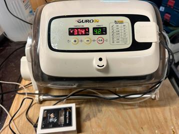 Rcom king suro broedmachine beschikbaar voor biedingen