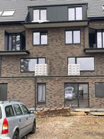 Gevelstenen Pagus Grijs-Zwart, Doe-het-zelf en Bouw, Metselstenen, Ophalen, Zo goed als nieuw