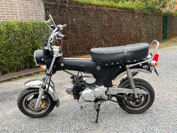 50cc Dax beschikbaar voor biedingen