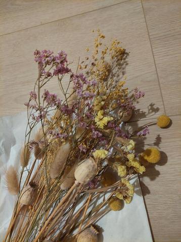 Boeketje droogbloemen - beige, roze, gele tinten  beschikbaar voor biedingen