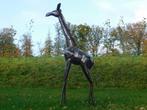 Giraffe Zuri XL - 200 cm - Handgemaakt Metalen Beeld, Antiek en Kunst, Ophalen of Verzenden